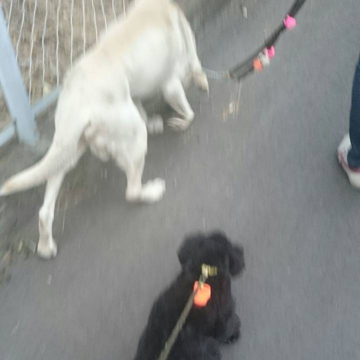 37640399 72c2 438b bbc1 c36d0b3cda9f