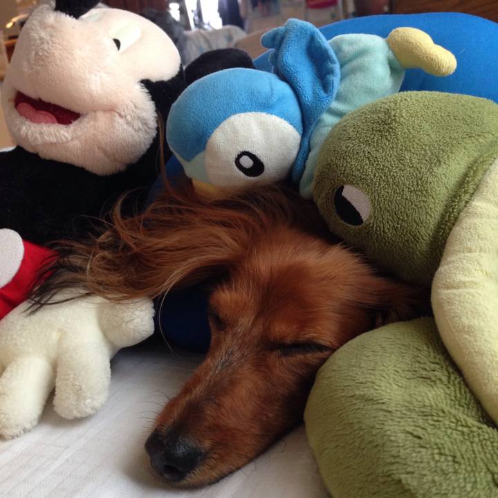 376408ce dc23 4869 8cdc bbad271db8ce