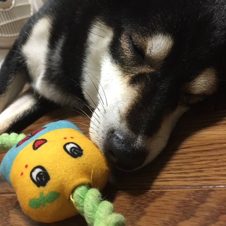 37646b2a 01a1 499e 823b 256c13179ef3