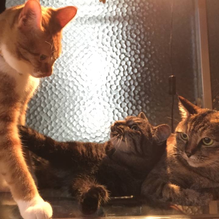 37647643 1dfa 478b bdf3 c8588085fb0a