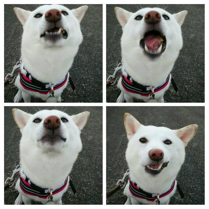 3764b9c5 4953 42d3 a75b 67aaf93c4865