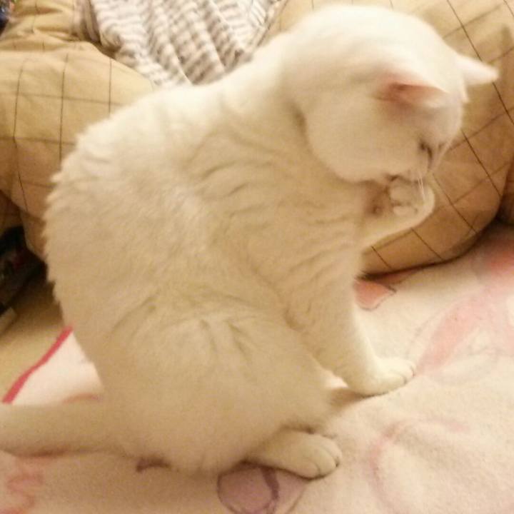 376515a1 85c3 4d5b a288 9ea7d35291bf