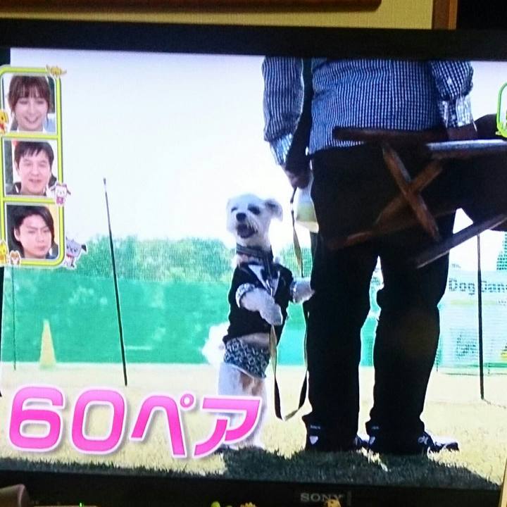 37655ac6 0efb 46cf 90e5 495a4d3e0c99