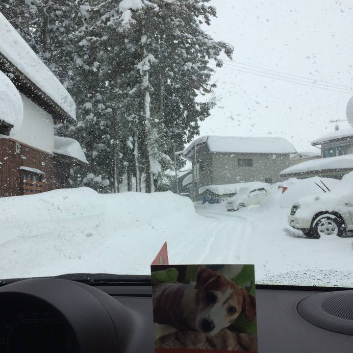 37659b9d 514c 4378 8d9e c9c4e0716769