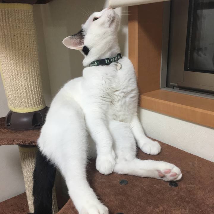 3765e4ec 1139 4a37 bd75 427c81990e0c