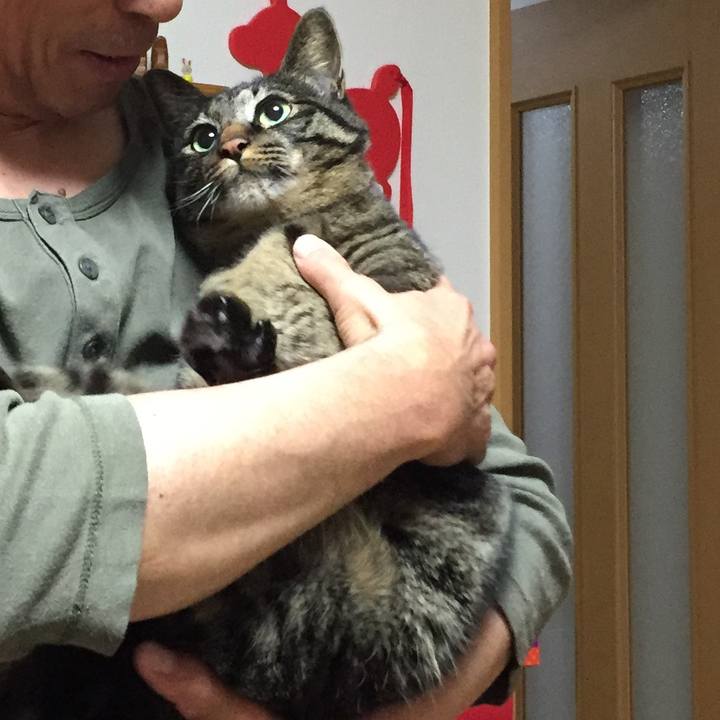 376601c3 519a 439f a4eb 61c64a708306