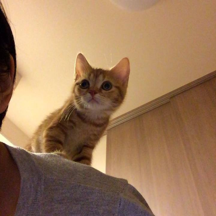 3766af60 e2d3 4dd3 9b60 2b618b7c26d3