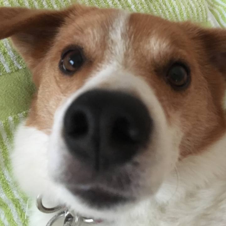 3767e89f 8757 45c0 9929 22349ca5a751