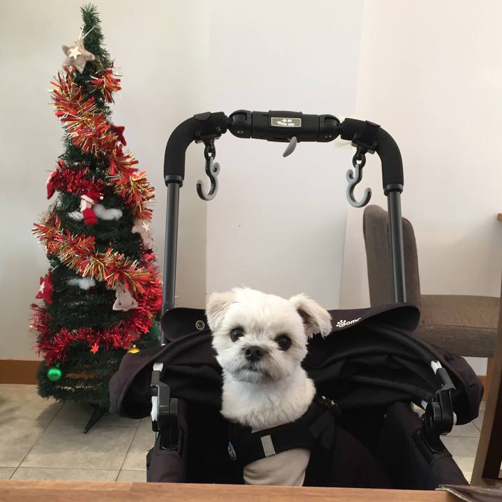 376865bf 87d6 4b1b 9386 0893f94d1151