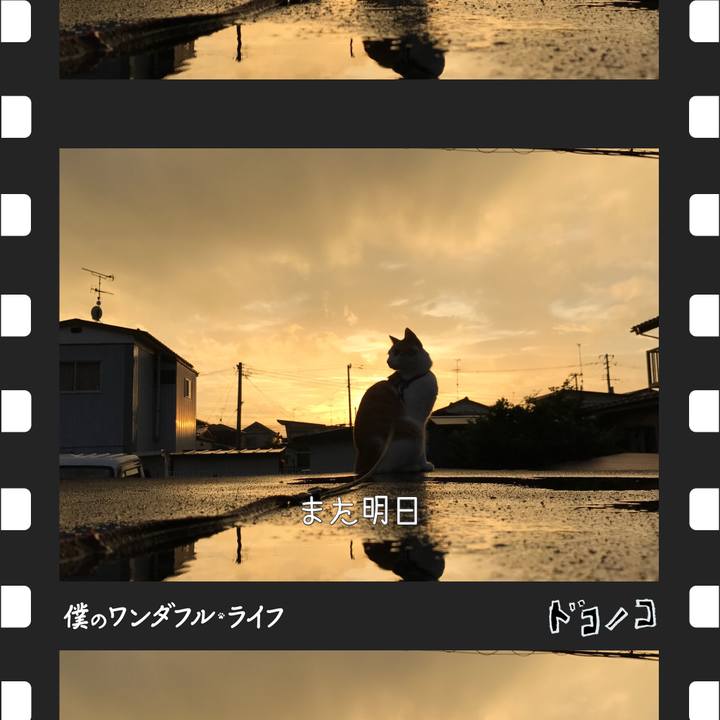 376873b8 34e4 4b74 af25 3d86b0936bdb