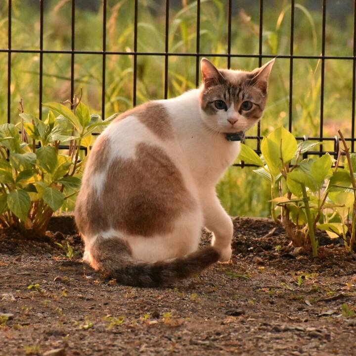 3768798e 7939 41af 9e9b 20db0f9faa2f