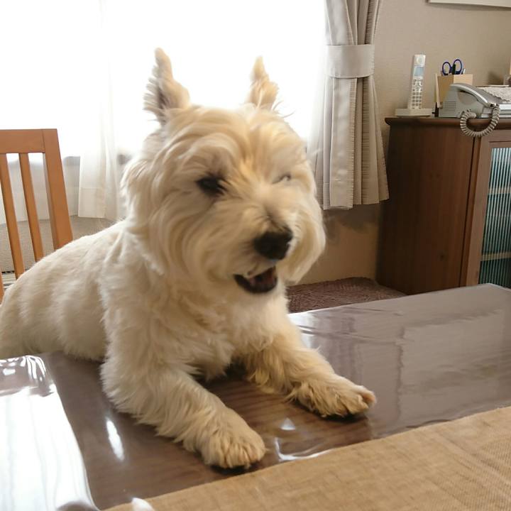 3768bd74 df72 49a0 b2a2 73b905b9baab