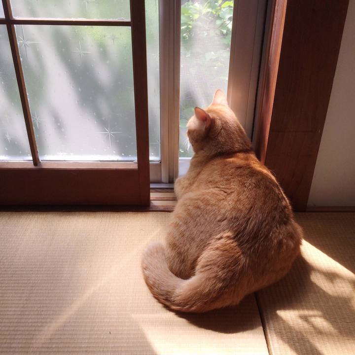 3769038b c3cc 4911 98d5 adaef7631045