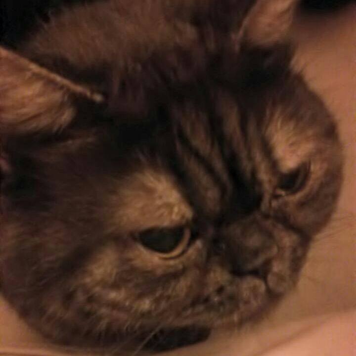 376956fb 95fa 467a 8e98 8b529ce7826f