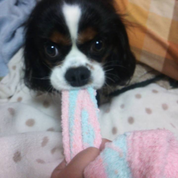 376a4bf6 8978 49ab 82c3 95b8b075e775