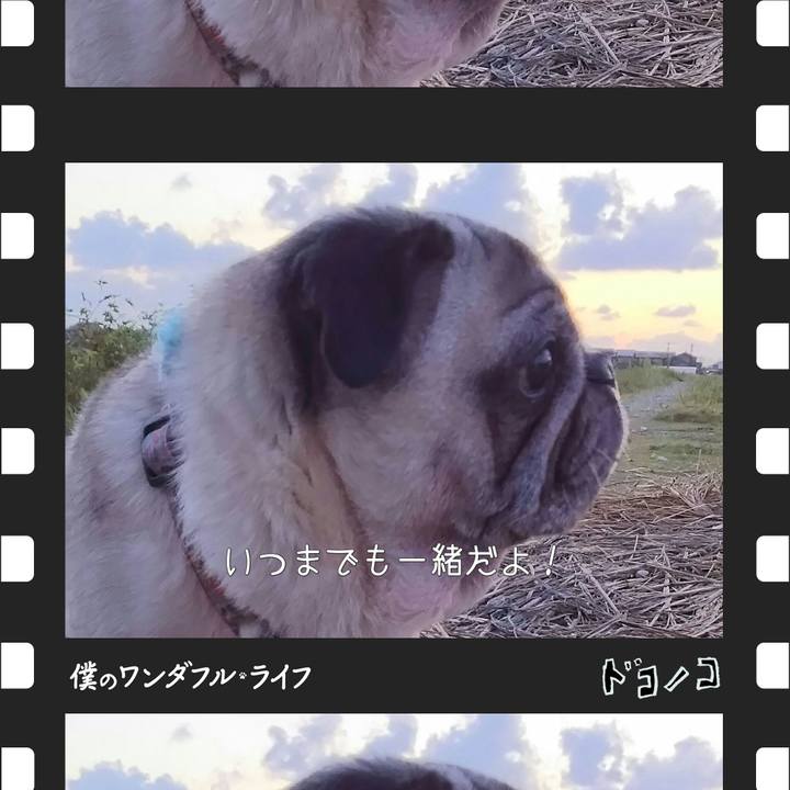 376a54e1 60ba 4bad 88f5 51f2cecc3dac