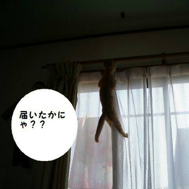 376a66d2 91b7 46c3 9487 158f71fe4801