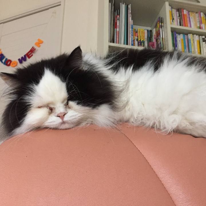 376a7fa1 8963 42f6 bc5a 5927057cf836