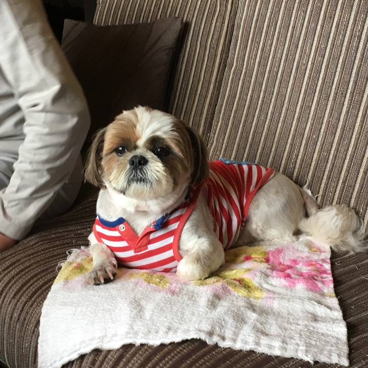 376aa80f cc64 4341 a289 56bc7776e92c