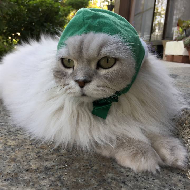 376ae76a 695e 4b89 9b08 bcc4118b1382