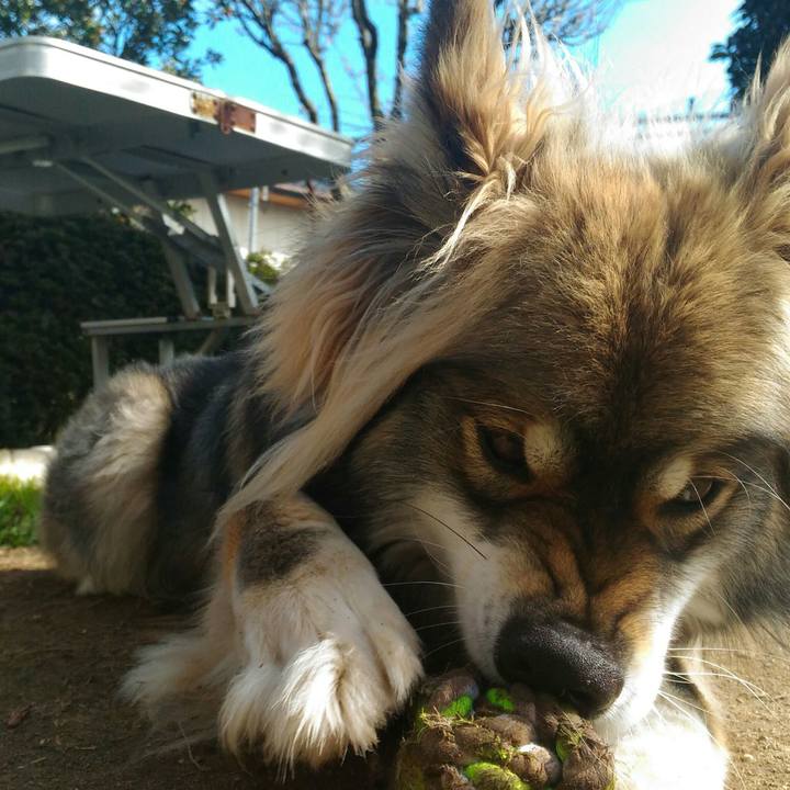 376b390b db9f 411c 90a6 1e03ee5aec88