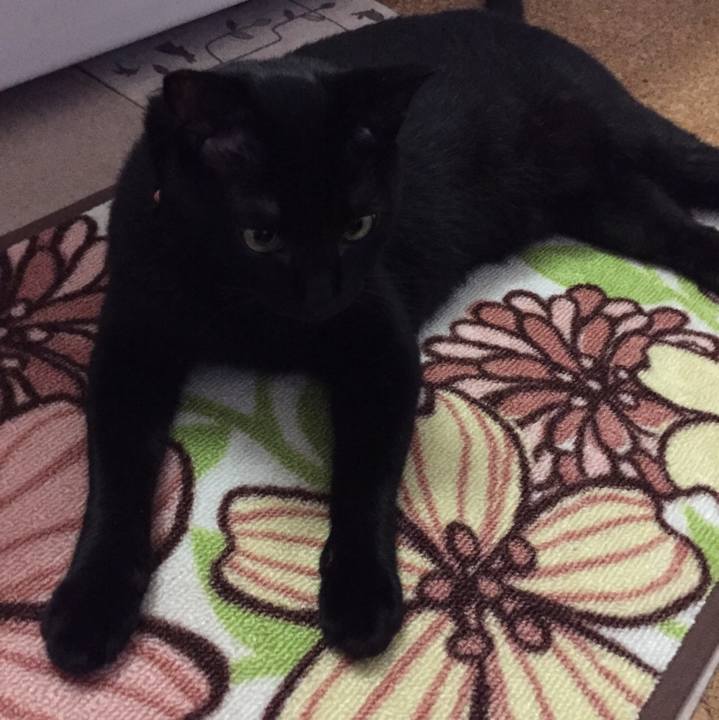 376b69c7 89ec 4e81 9897 cf9289e6d803