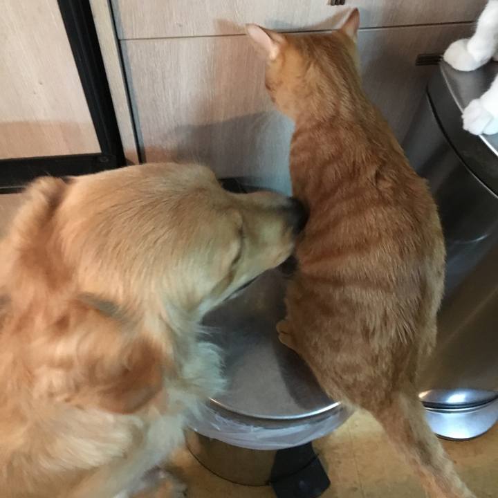 376bd5a9 73dd 4092 bcbc adbdfa4e9231