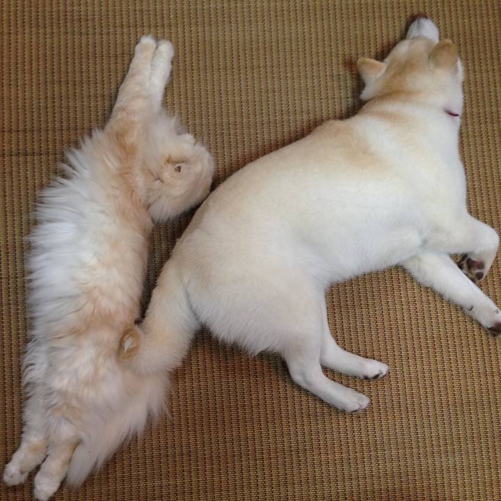 376bffc4 e507 42cc a2f0 ebe4a46ffa9f