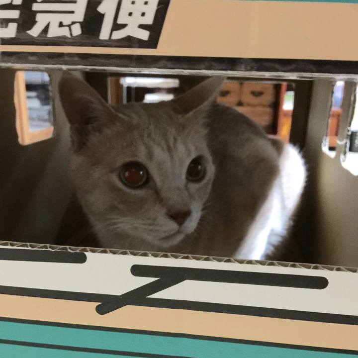 376c8063 97b0 4639 9a7d 68e738ccb895