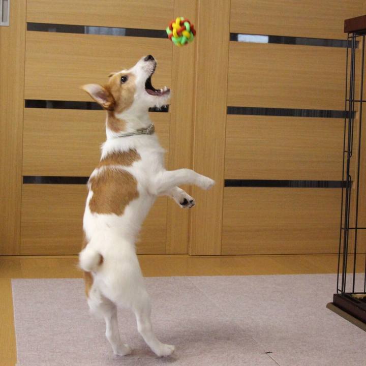 376d8026 8bc7 4919 b7c8 98dd8a5a0867