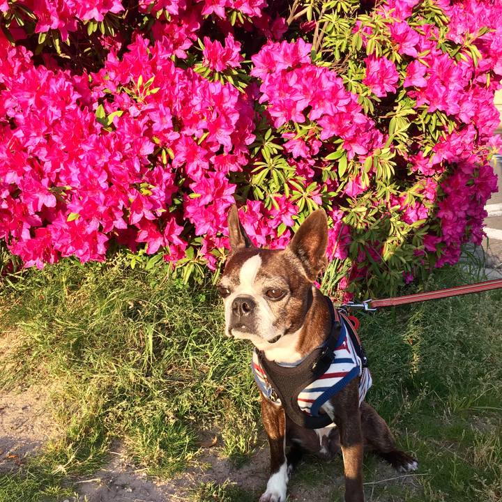 376dbd3b 7241 48f5 8ca6 ab0783e1c885