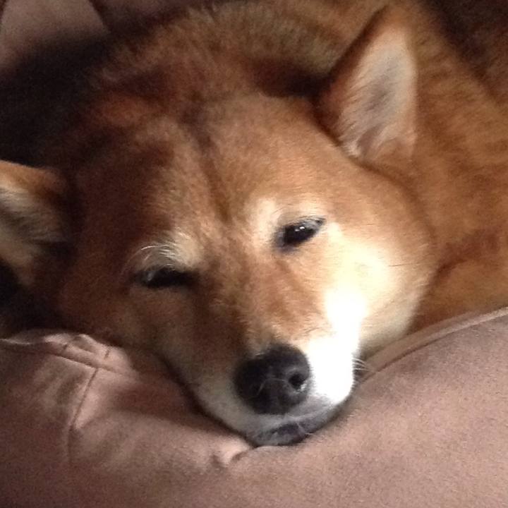 376e35fa 5835 4255 a2db 31ff7e4b4cd4