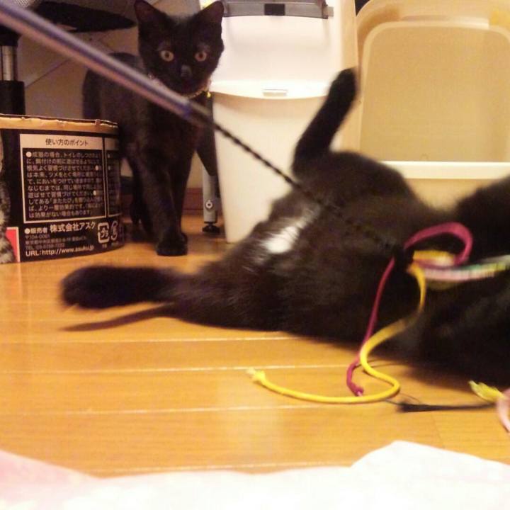 376e4e8e 5079 415d 8443 de36a910013d