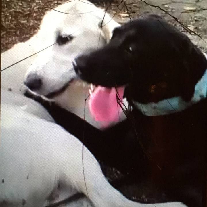 37700f83 d614 4c3e 8540 55719273414b