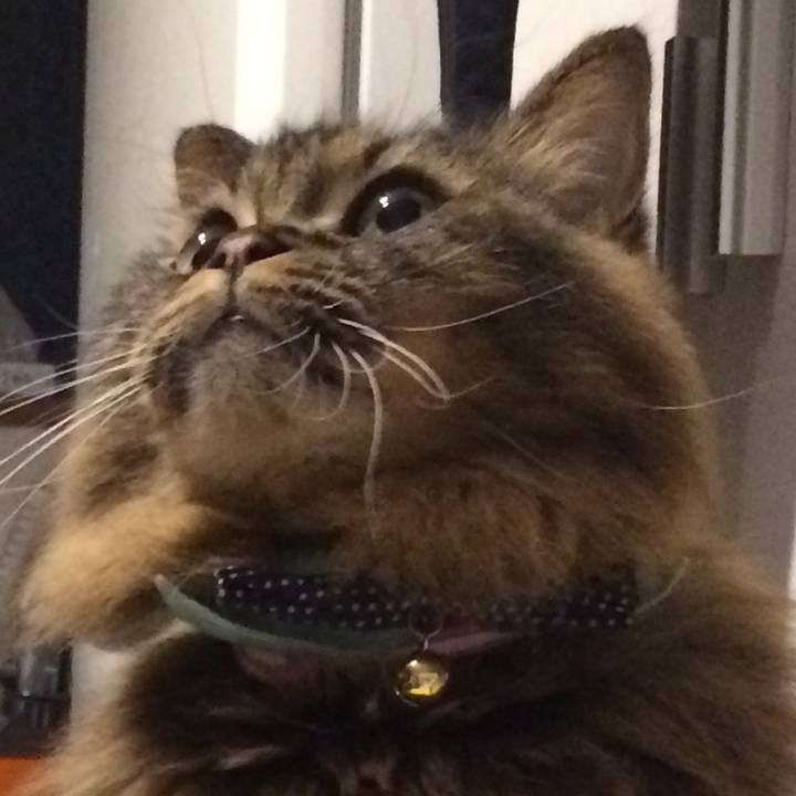 37707d8d d6df 43fd bd66 6856409e932d