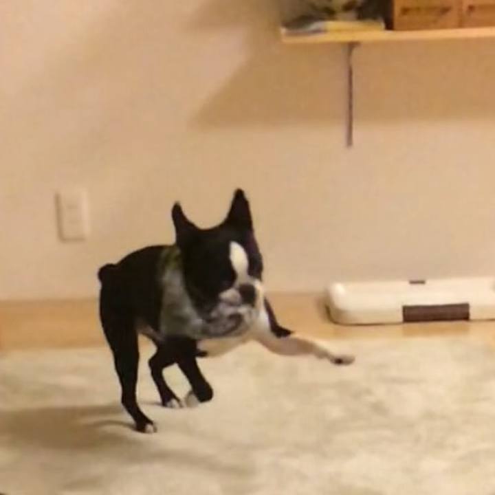 37708551 ad76 4579 8f5d 2f0b77185262