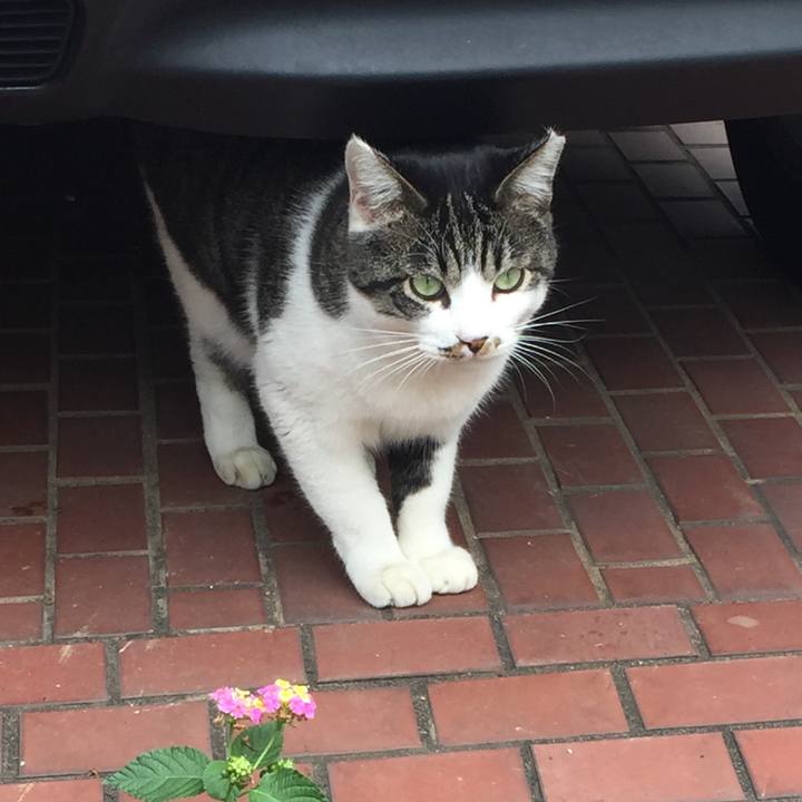 3770da7e 70a8 4d19 8d66 1f1d7f7c30cb