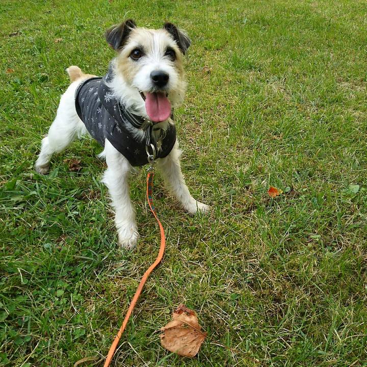 37711b30 e59b 415c 9f6e 0fb34a0bf14b