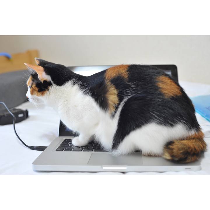 37714b3e d83e 44bb 86ee d4e725fab8aa