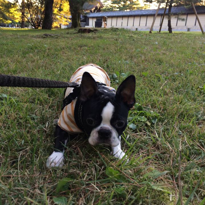 377178ca 4668 4287 9388 8623c643671a