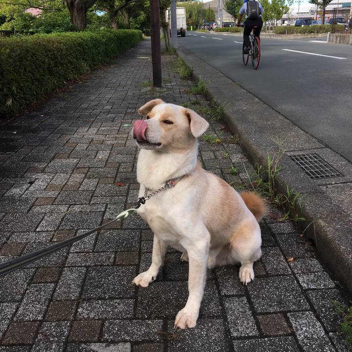 37717eb1 336a 4c64 a5c7 2e907978bd28