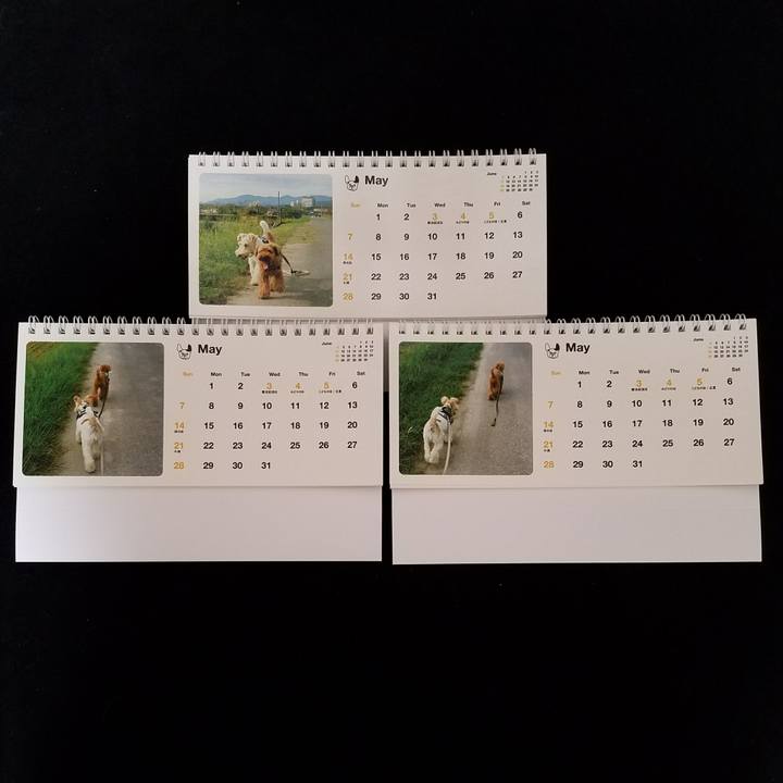 3771ac93 dcc0 4bc0 9f1c c4e1ccc55524