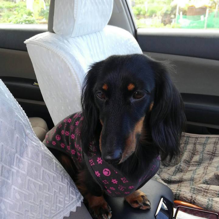 37726492 6fb6 4de0 a701 a040ae7a571c