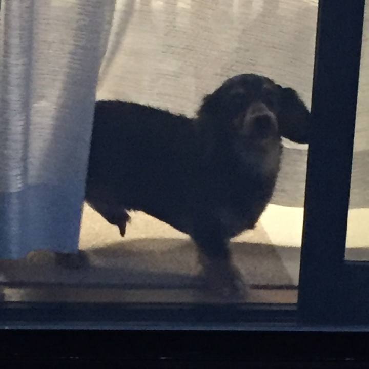 3772a52d 6ed6 4943 9e25 a7625cbc2d06