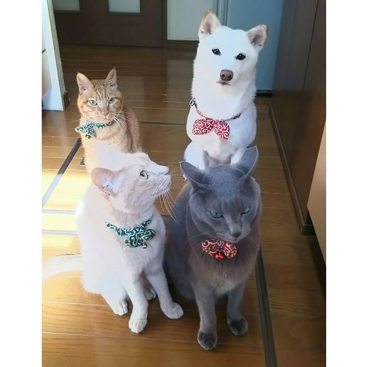 3772dfed 7e4c 417a ab98 316ebd04b1d5