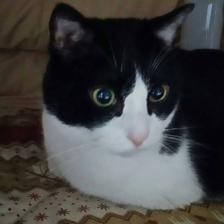 37737478 990e 4532 ba5a 6d472b0ba4de