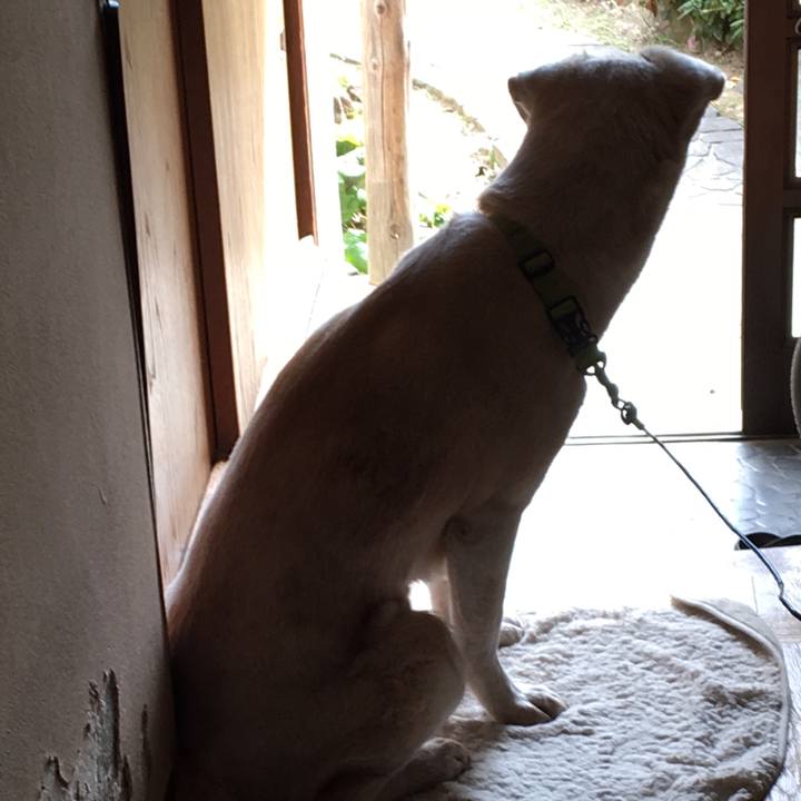 37738a8b c57d 4f2f b01a c7633fcba931