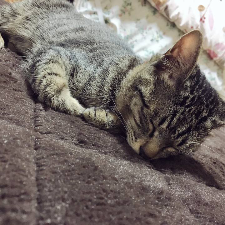 377433bd a62e 4e67 bb4c cfe917ecfce6