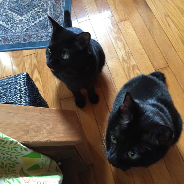 37743f04 2ac8 4f2a acfb 76a46691ad71