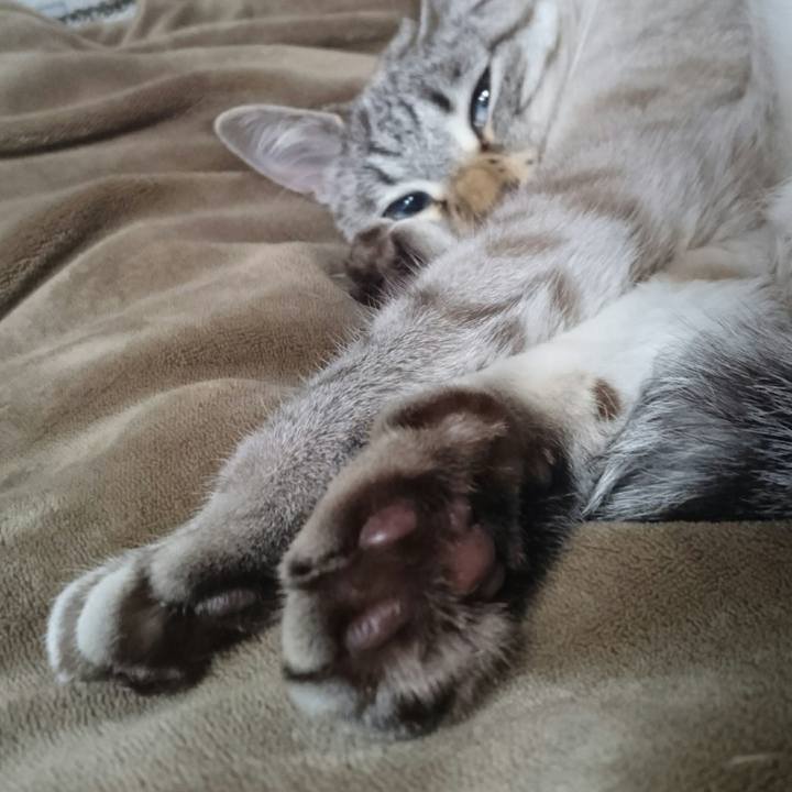 377457c0 751d 4868 a1d1 a52b8904f99e